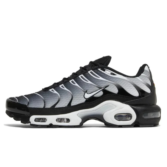 Nike Air Max TN Black Metallic Silver