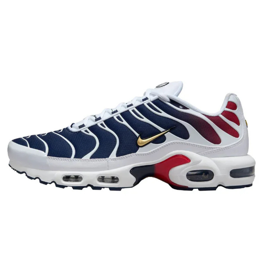 Nike Air Max TN Psg
