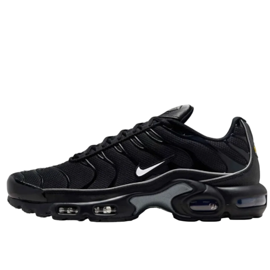 Nike Air Max TN OG