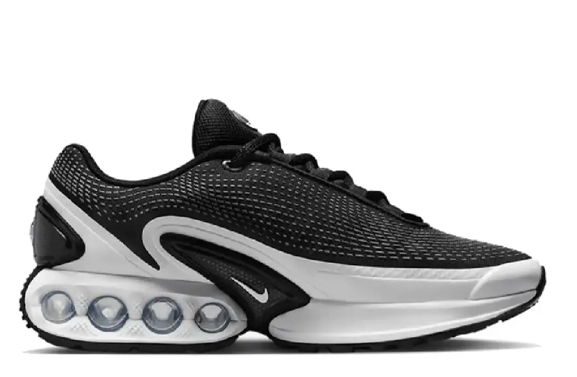 Nike Air Max DN Black & White