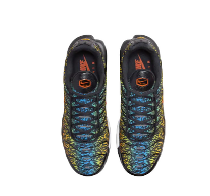 Nike Air Max TN Brixton Graffiti