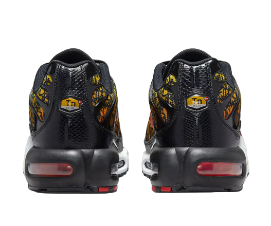 Nike Air Max TN Brixton Graffiti